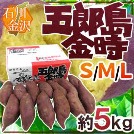 石川県 加賀野菜 ”五郎島金時” S/M/Lサイズ 約5kg さつまいも【予約 9月以降】 送料無料