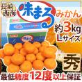 長崎 西海 ”味まるみかん” 秀品 Lサイズ 約3kg 産地化粧箱 最低糖度12度保証【予約 11月下旬以降】 送料無料