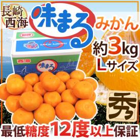 長崎 西海 ”味まるみかん” 秀品 Lサイズ 約3kg 産地化粧箱 最低糖度12度保証【予約 11月下旬以降】 送料無料