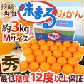 長崎 西海 ”味まるみかん” 秀品 中玉Mサイズ 約3kg 産地化粧箱 最低糖度12度保証【予約 11月下旬以降】 送料無料