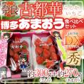 奈良・福岡県産 ”博多あまおう＋古都華いちご 食べ比べセット” 2pc【予約 12月～1月以降】 送料無料