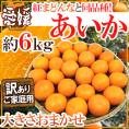 ”愛媛産 紅まどんなと同じ品種 あいか” 訳あり 約6kg 大きさおまかせ【予約 11月末以降】 送料無料