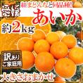 ”愛媛産 紅まどんなと同じ品種 あいか” 訳あり 約2kg 大きさおまかせ【予約 11月末以降】 送料無料