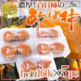 山梨産 ”百目柿のあんぽ柿” S/M/L/2Lサイズ 約160g×5pc【予約 11月下旬以降】 送料無料