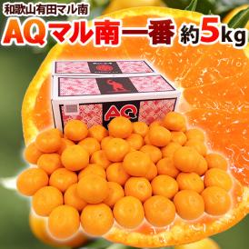和歌山産 ”AQマル南一番” 秀品 S/M/L 約5kg 糖度12度以上 有田みかん マルナン AQみかん【予約 11月末以降】 送料無料
