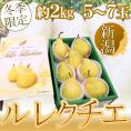 新潟産 ”ル レクチェ” 秀品 5～7玉 約2kg 化粧箱 洋梨【予約 12月以降】 送料無料