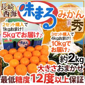 長崎 西海 ”味まるみかん” 秀品 約2kg 大きさおまかせ 産地化粧箱《2セット購入で1kg、3セット購入で4kgおまけ》最低糖度12度保証【予約 11月下旬以降】 送料無料