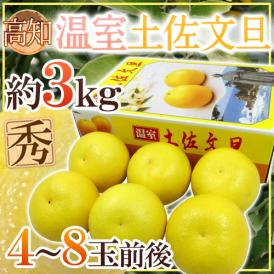 土佐高知 ”温室土佐文旦” 秀品 4～8玉前後 約3kg【予約 12月以降】 送料無料