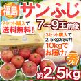 福島産 ”蜜入りサンふじりんご” 7～9玉前後 ○秀品 約2.5kg《2箱購入で送料無料！3箱購入で2.5kgおまけ！》【予約 11月下旬以降】