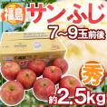 福島産 ”蜜入りサンふじりんご” ○秀品 7～9玉前後 約2.5kg【予約 11月下旬以降】 送料無料