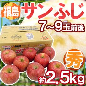 福島産 ”蜜入りサンふじりんご” ○秀品 7～9玉前後 約2.5kg【予約 11月下旬以降】 送料無料