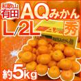 和歌山産 ”AQみかん” 秀品 L/2L 約5kg 有田みかん【予約 11月末以降】 送料無料
