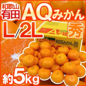 和歌山産 ”AQみかん” 秀品 L/2L 約5kg 有田みかん【予約 11月末以降】 送料無料