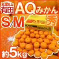 和歌山産 ”AQみかん” 秀品 S/M 約5kg 有田みかん【予約 11月末以降】 送料無料