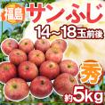 ”福島産 蜜入りサンふじりんご” ○秀品 14～18玉前後 約5kg【予約 11月下旬以降】 送料無料