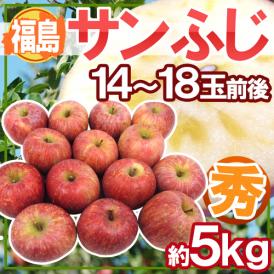 ”福島産 蜜入りサンふじりんご” ○秀品 14～18玉前後 約5kg【予約 11月下旬以降】 送料無料