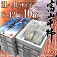 富山産 ”富山干柿” 2L～4Lサイズ 6～12個入 化粧箱《10箱》三社柿/種なし柿【予約 12月末以降】 送料無料