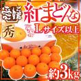 愛媛産 ”紅まどんな” 秀品 Lサイズ以上 約3kg 化粧箱【予約 12月以降】 送料無料