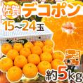 佐賀産 ”デコポン” 秀品 15～24玉 約5kg【予約 1月下旬以降】 送料無料