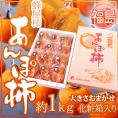 福島産 JAふくしま未来 ”あんぽ柿” 約1kg 大きさおまかせ 化粧箱 蜂屋柿使用【予約 12月末以降】 送料無料
