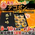 長崎 JA島原雲仙 ”マルナンデコポン ベストセレクション” 秀品 8～10玉前後 約3kg 糖度14度以上【予約 12月以降】 送料無料