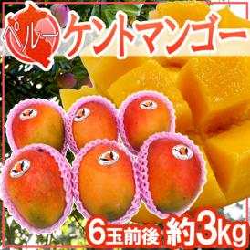 ”ペルー産 ケントマンゴー” 大玉6玉前後 約3kg 航空便【予約 入荷次第発送】 送料無料