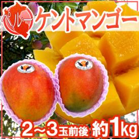 ”ペルー産 ケントマンゴー” 大玉2～3玉前後 約1kg 航空便【予約 入荷次第発送】 送料無料