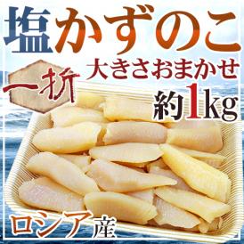 ロシア産 ”塩数の子” ちょっと訳あり 約1kg 大きさおまかせ おせち♪かずのこ！【予約 入荷次第発送】 送料無料
