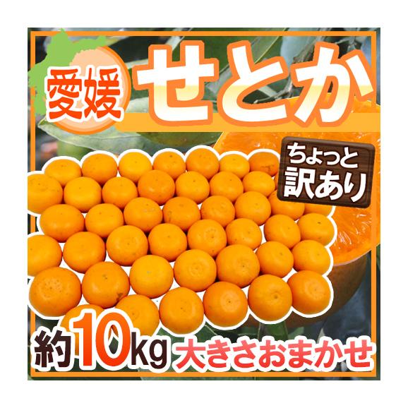 愛媛産 ”せとか” ちょっと訳あり 約10kg 大きさおまかせ【予約 2 愛媛産 ”せとか” ちょっと訳あり 約10kg 大きさおまかせ【予約 2