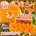 和歌山有田産 ”AQはるみみかん” 訳あり 約4~5kg 大きさおまかせ【予約 1月下旬以降】 送料無料