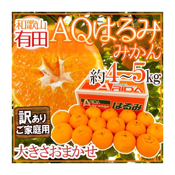 おすすめ人気ランキング2024年 和歌山有田産 ”AQはるみみかん” 訳あり 約4～5kg 大きさおまかせ 果物