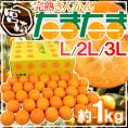 宮崎県 ”完熟きんかん たまたま” 秀品 L/2L/3Lサイズ 約1kg 化粧箱 糖度16度以上【予約 2月中旬以降】 送料無料