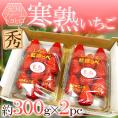 愛知・ファームトヨヒロ産 ”寒熟いちご（完熟イチゴ）” 約300g×2pc【予約 2月以降】 送料無料