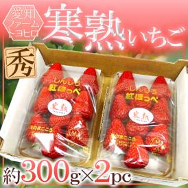 愛知・ファームトヨヒロ産 ”寒熟いちご（完熟イチゴ）” 約300g×2pc【予約 2月以降】 送料無料