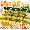 宮崎産 ”日向夏ちゃん” 15袋(1袋あたり3~4玉 約300~400g)【予約 2月中旬以降】 送料無料