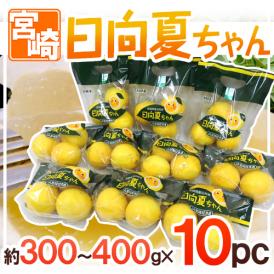 宮崎産 ”日向夏ちゃん” 10袋（1袋あたり3～4玉 約300～400g）【予約 2月中旬以降】 送料無料