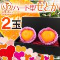 ”ハート型せとか” 2玉 化粧箱【予約 2月以降】 送料無料