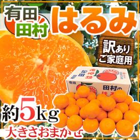 和歌山有田・田村産 ”はるみみかん” 訳あり 約5kg 大きさおまかせ【予約 1月下旬以降】 送料無料