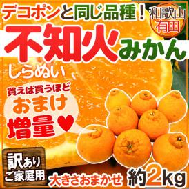 有田産 不知火・しらぬい(訳ありデコポン)” 約2kg 大きさ 有田産 不知火・しらぬい(訳ありデコポン)” 約2kg 大きさ