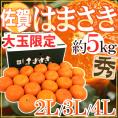 佐賀産 ”はまさき” 秀品 大玉限定 2L/3L/4L 約5kg 産地箱入り 麗紅【予約 2月以降】 送料無料