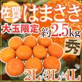 ”佐賀産 はまさき” 秀品 大玉限定 2L/3L/4L 約2.5kg バラ詰め 麗紅【予約 2月以降】 送料無料