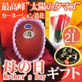 母の日ギフト 宮崎マンゴー ”太陽のタマゴ” 大玉2Lとカーネーション造花セット【予約 5月2日～5月10日お届け予定】 送料無料