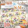 洗いらっきょう 鳥取 JAいなば 福部産 ”砂丘らっきょう” S/Mサイズ 約10kg【予約 6月中旬以降】 送料無料