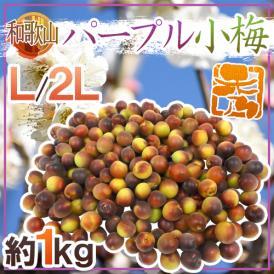 ”紀州・和歌山産 パープル小梅” 秀品 L/2Lサイズ 約1kg 紫小梅【予約 5月下旬以降】
