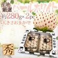 ”白いちご パールホワイト” 2pc (1pcあたり約280g) 産地厳選【予約 12月~1月以降】 送料無料