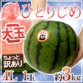 熊本産 ”小玉すいか ひとりじめ” 4L1玉 約3kg前後 ちょっと訳あり【予約 4月以降】