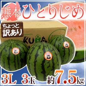 甘くてシャリシャリ♪大玉すいかに負けない食感♪