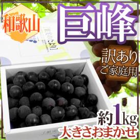 ぶどう ”和歌山産 巨峰” 訳あり 約1kg 化粧箱 大きさおまかせ 満杯詰 ぶどう【予約 7月末以降】 送料無料