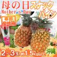 母の日ギフト ”沖縄 スナックパイン” カーネーション造花付き 2～3玉 約1.5kg【予約 5月3日～5月12日お届け予定】 送料無料