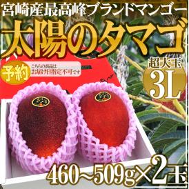 宮崎マンゴー ”太陽のタマゴ” 大玉 3Lサイズ 2玉 産地化粧箱【予約 4月以降】 送料無料